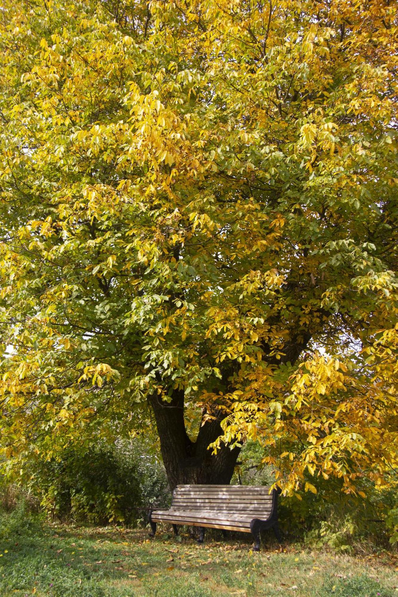 Zove Rural Cottage With Garden Views K'arashamb Zewnętrze zdjęcie